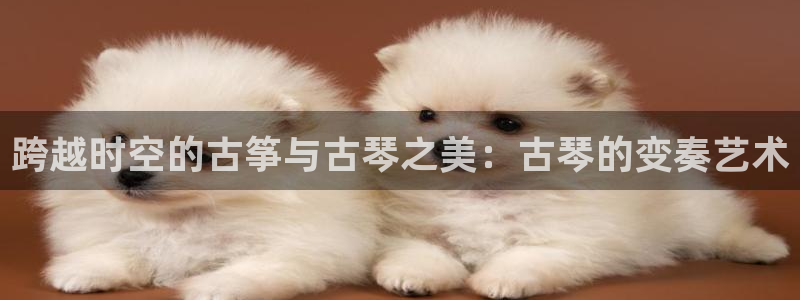 ks8凯发登录网址ios版下载：跨越时空的古筝与古琴之美：古