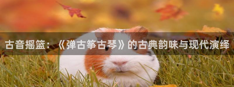 凯发k8娱乐官网旗舰厅
