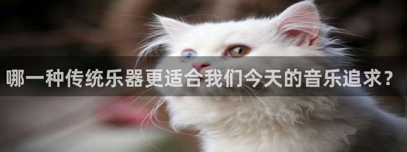 凯发官网|认准kpm