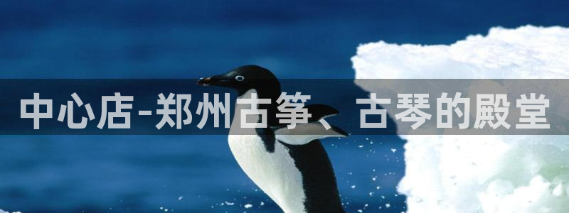 凯发k8娱乐平台下载：中心店-郑州古筝、古琴的殿堂
