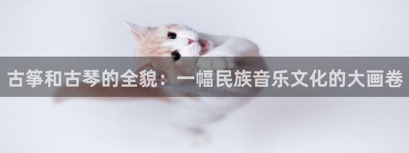 凯发k8客户端：古筝和古琴的全貌：一幅民族音乐文化的大画卷