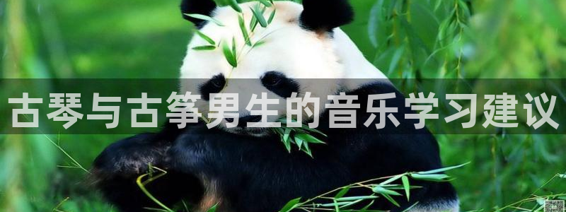 凯发网娱乐官网国际：古琴与古筝男生的音乐学习建议