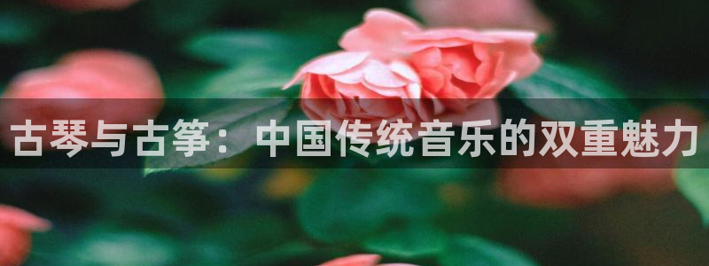 凯发手机app官网