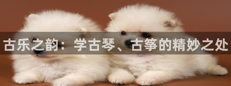 凯发是什么意思：古乐之韵：学古琴、古筝的精妙之处