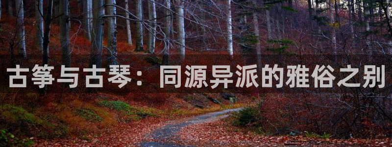 凯发k8娱乐旗舰：古筝与古琴：同源异派的雅俗之别