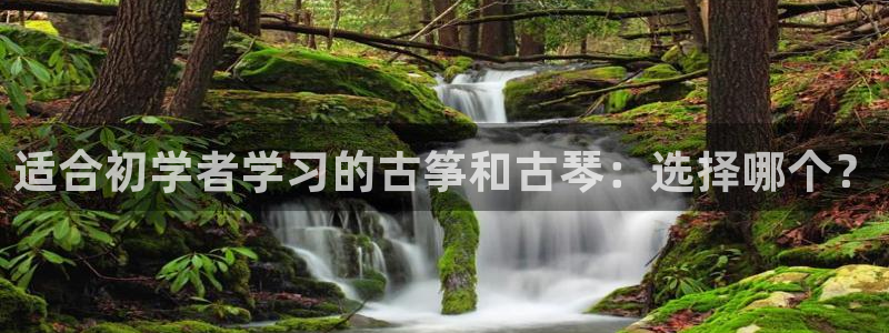 凯发娱网址是什么：适合初学者学习的古筝和古琴：选择哪个？