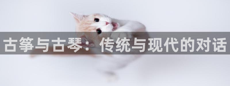 凯发k8国际真人娱乐手机app