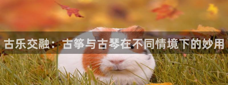 凯发平台医7O777