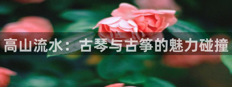 凯发官方手机app