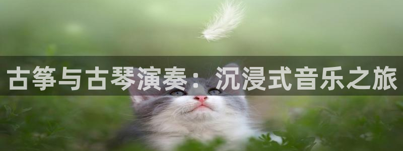 凯发k81111国际真人版