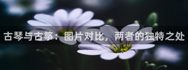 凯发k8国际官网可靠吗：古琴与古筝：图片对比，两者的独特之处