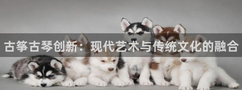 凯发K8天生赢家一触即发：古筝古琴创新：现代艺术与传统文化的